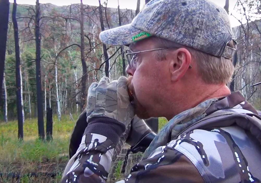 Chris is not only a veteran elk hunter, he is also a Certified Wildlife Biologist & Animal Behaviorist