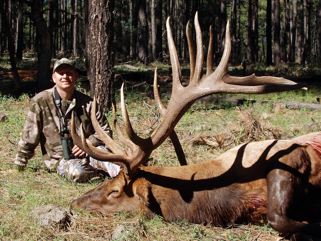 Jay-Scott-427-inch-bull-elk