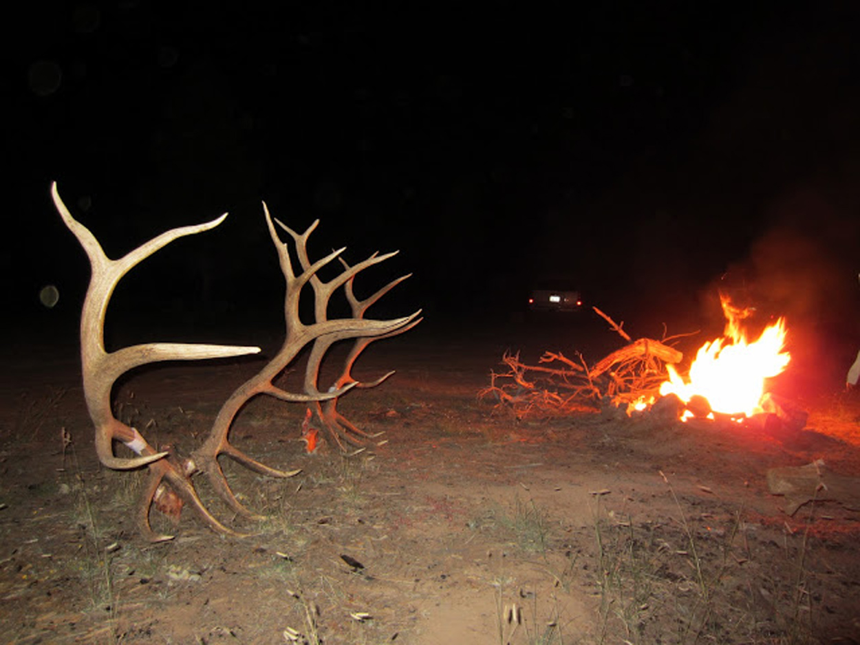 Jay-Scott-Outdoors-Arizona-Elk-Hunting-Outfitter-008