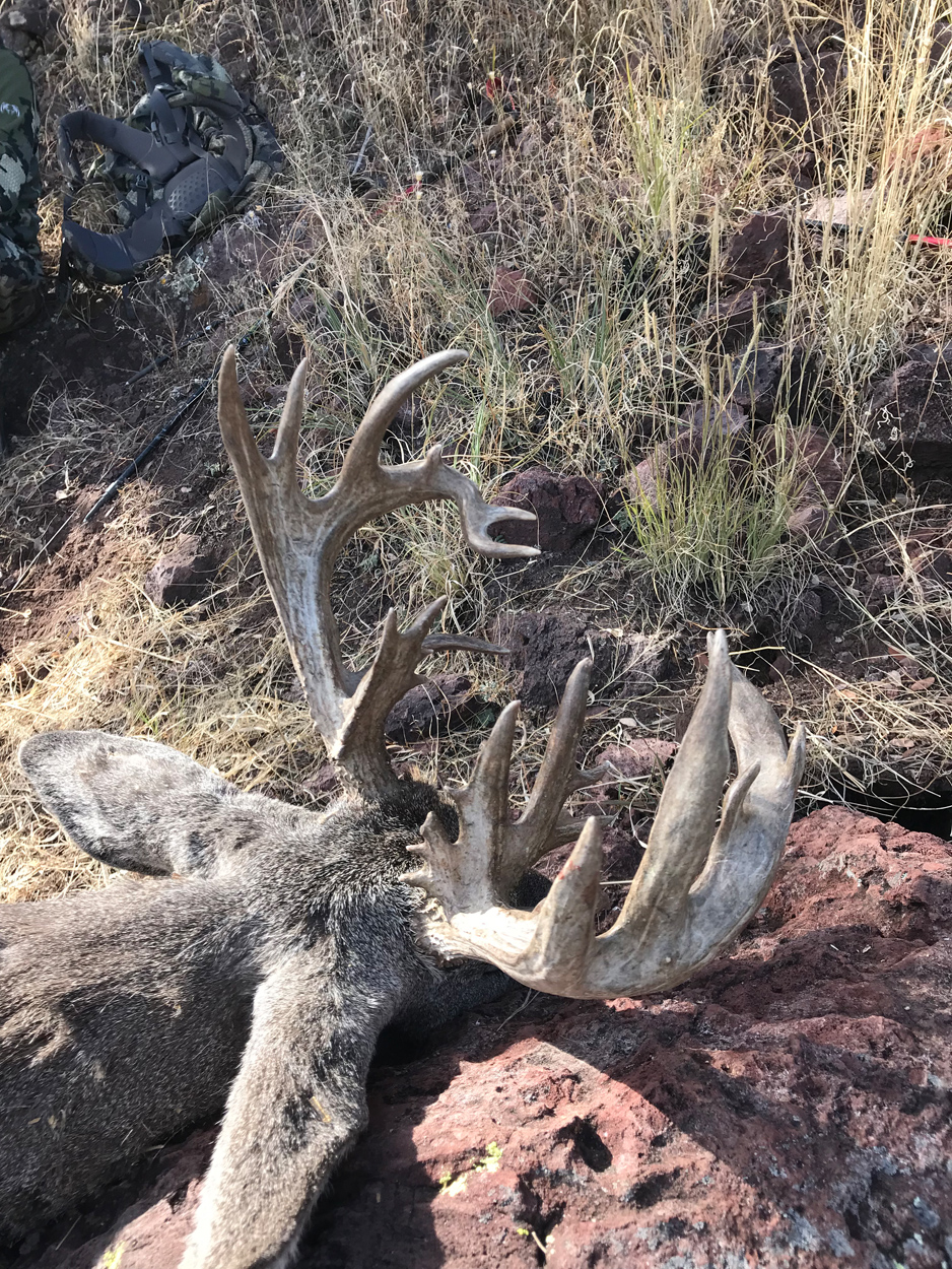 Jay-Scott-Outdoors-Coues-Deer-Hunting-Outfitter-012