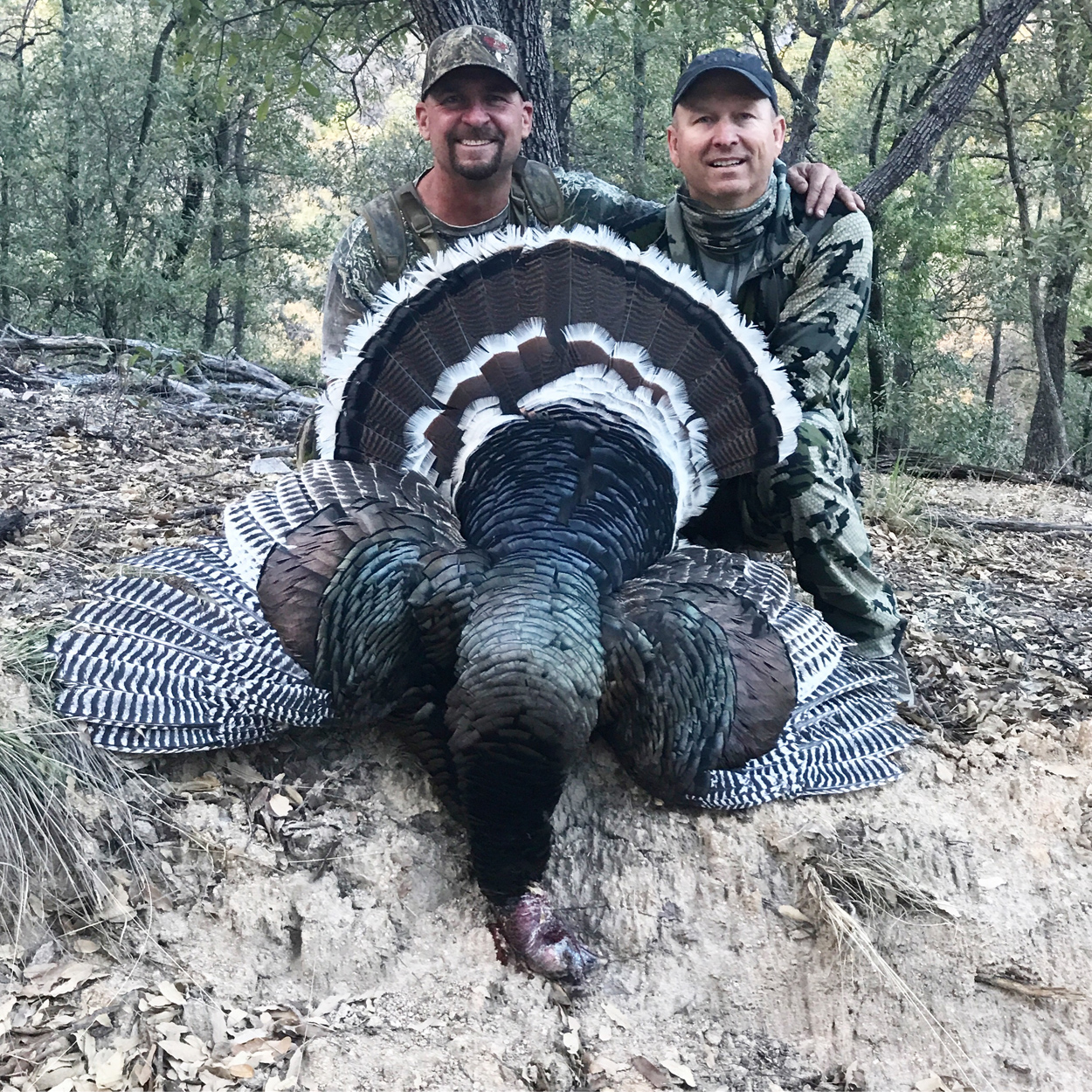 Jay-Scott-Outdoors-Goulds-Turkey-Hunting-Outfitter-001